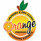 ORANGE LAUNDRY SEMARANG Logo